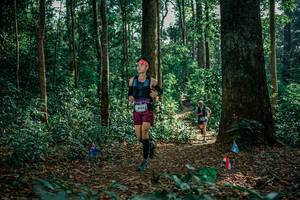 BIB: 
                            <button type="button" onclick="openModal(26129884)" class="btn btn-primary btn-sm float-right btn-popup" data-toggle="modal" data-target=".modal-high-quality">
                        <i class="fas fa-shopping-cart"></i> Add to Cart
                    </button>
                                            <button type="button" onclick="isThisMe(26129884, true)" class="btn btn-success btn-sm float-right btn-popup btn-isme hidden" data-toggle="tooltip" data-placement="bottom" title="นี่คือรูปของคุณใช่ไหม คลิกที่นี่เพื่อเอาเข้าอัลบั้ม">
                        <i class="fas fa-plus"></i> Add to album
                    </button>
                    <button type="button" onclick="isThisMe(26129884, false)" class="btn btn-warning btn-sm float-right btn-popup btn-isnotme hidden">
                        <i class="fas fa-ban"></i> Remove from album
                    </button>